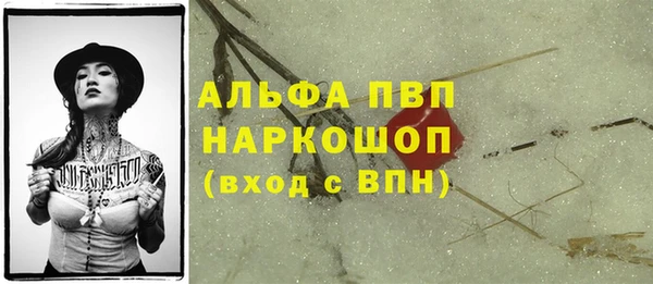 соль ск Алзамай